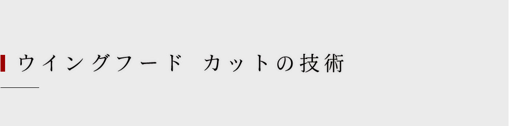 ウイングフード カットの