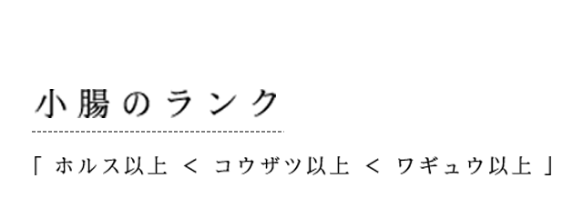 小腸のランク